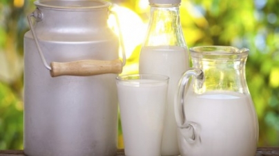 Три центральні області стали лідерами з виробництва молока