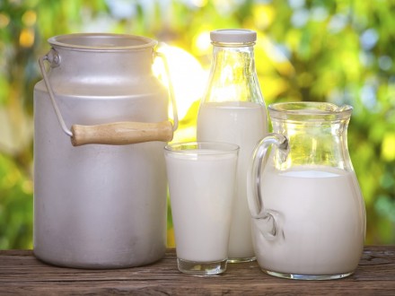 Три центральні області стали лідерами з виробництва молока