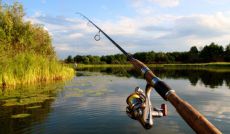 Де можна ловити рибу на Кременчуцькому водосховищі?