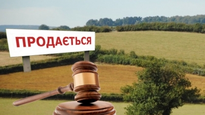У лютому на Черкащині проведуть 4 земельних аукціони