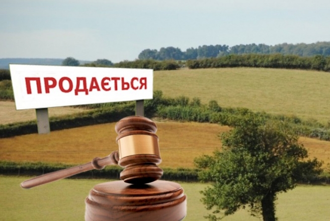 У лютому на Черкащині проведуть 4 земельних аукціони