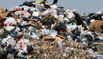 Жодне сміттєзвалище в області не відповідає екологічним нормам — Ю.Ткаченко