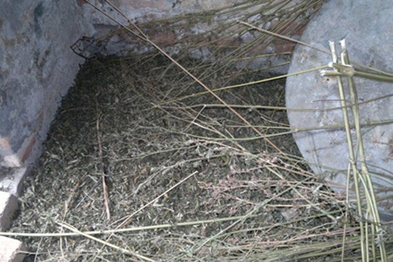 На Городищі поліція виявила 2 кг коноплі