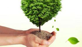 Держлісагентство розпочинає акцію «Майбутнє лісу у твоїх руках»