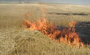 На відкритих територіях Черкас сталося п’ять загорань сухої трави