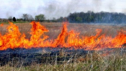 У лісах Черкащини розпочався пожежонебезпечний період