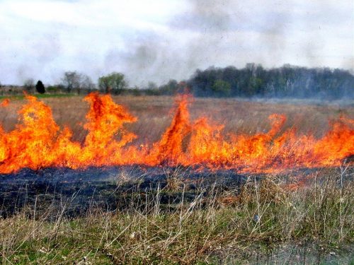 У лісах Черкащини розпочався пожежонебезпечний період