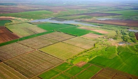 Землевпорядники Черкащини з початку року зареєстрували майже 12 тис земельних ділянок