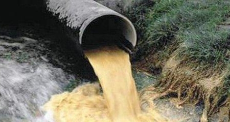 Порив каналізації у Ватутіному завдав шкоди довкіллю