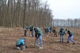 Звенигородські лісівники цьогоріч створять понад 160 га лісу