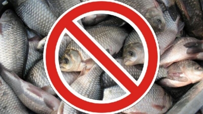 Де на Черкащині заборонено рибалити у період нересту?