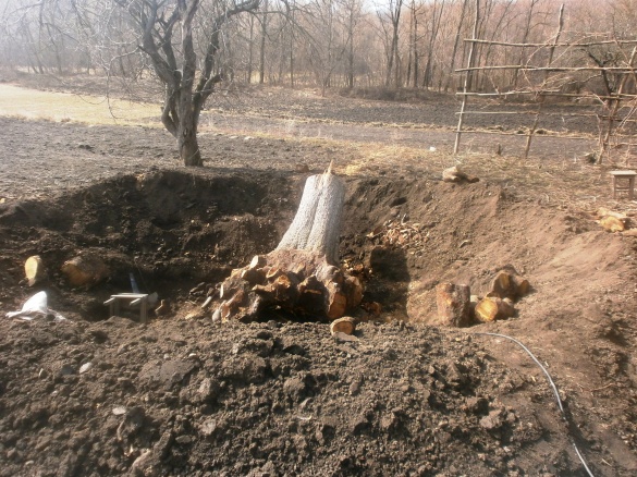 На Черкащині чоловіка вбило дерево