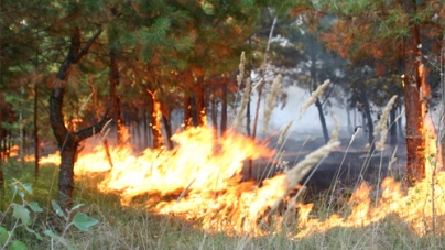 Черкаські рятувальники закликають громадян не провокувати пожежі у екосистемах