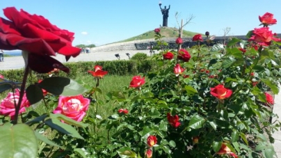 У Долині троянд хотіли посадити 60 тис кущів