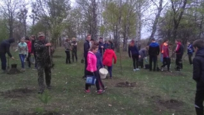 На Чорнобаївщині висадили Алею пам′яті воїнів АТО