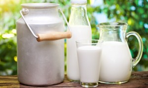 Черкащина лідирує з виробництва та переробки молока