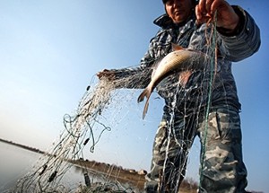 За незаконний вилов риби чоловіку загрожує до трьох років позбавлення волі