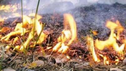 На Черкащині уп’ятеро зріс штраф за порушення правил пожежної безпеки в лісах