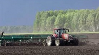 Аграрії Черкащини завершили посів ранніх зернових та зернобобових культур
