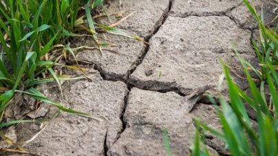 На Черкащині почав засихати ґрунт