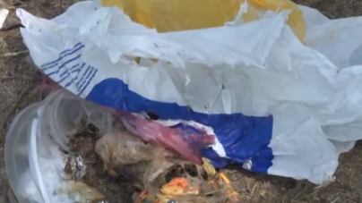 Черкащани продовжують смітити під час відпочинку