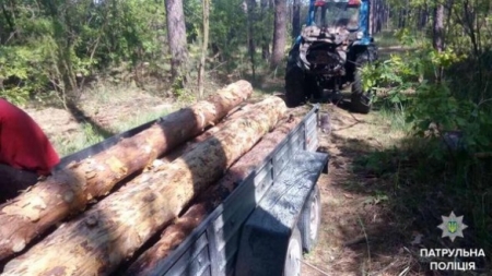 На Черкащині затримали нелегальних лісорубів
