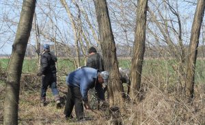 Безробітніх селян Черкащини залучили до благоустрою територій