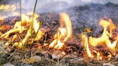 За добу на Черкащині ліквідували два займання сухої рослинності