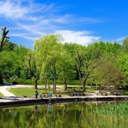 Черкаська “Дирекція парків” утримує 26 парків і скверів