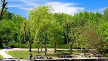 Черкаська “Дирекція парків” утримує 26 парків і скверів