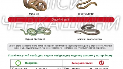 Рятувальники Черкащини закликають остерігатися укусів змій