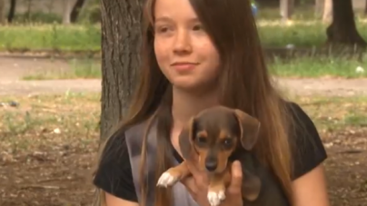Черкаська школярка допомає безпритульним тваринам