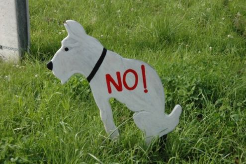 Черкащанка просить заборонити вигул собак на алеї Путейка