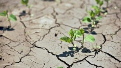 Посуха ґрунтів на Черкащині зашкодить врожаю