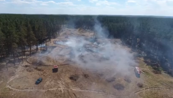 Чернявські рятувальники загасили лісову пожежу