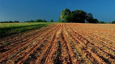 Прокуратура повернула державі 80 га сільськогосподарських земель