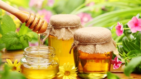 На Черкащині ціни на мед битимуть рекорди