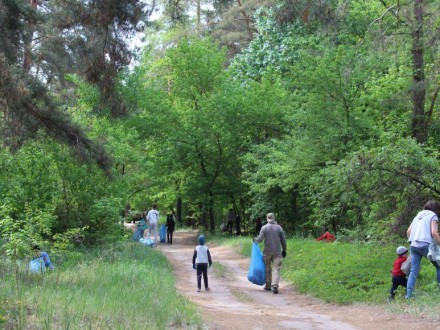 25 червня золотонісці прибиратимуть Вільхівський ліс