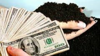 Під час аукціону на Черкащині вартість оренди земельної ділянки зросла всемеро