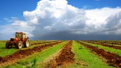 3,5% сільгоспугідь України зосереджено на Черкащині