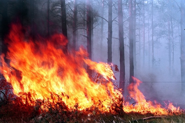 ДСНС попереджає про надзвичайну пожежну небезпеку на Черкащині