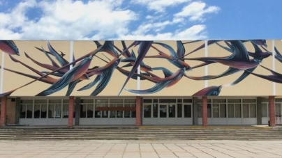 Фасад черкаської школи прикрасив малюнок з птахів