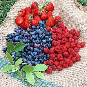 На тальнівських базарах можна купити недорогі ягоди