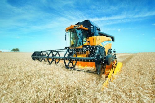 На Черкащині планують зібрати 3,8 млн. тонн зернових культур