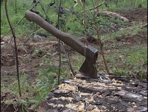 У Черкаському районі вирубують ліси, пошкоджені буревієм