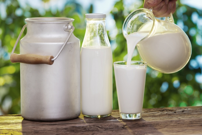 Маньківські молочарі на третину збільшили виробництво