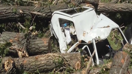 На Катеринопільщині дерево впало на авто з двома людьми