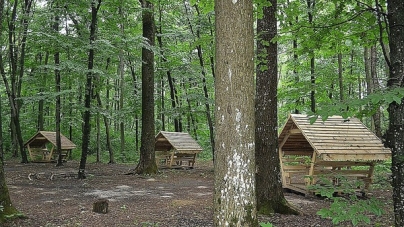 Кам’янські ліси серед найкращих на Черкащині