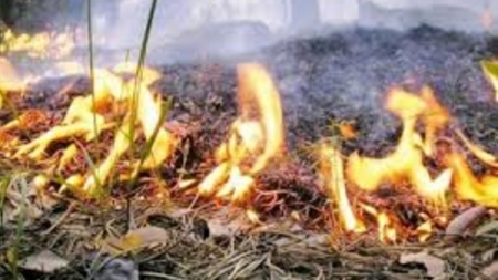 У лісах Черкащини надзвичайна пожежна небезпека