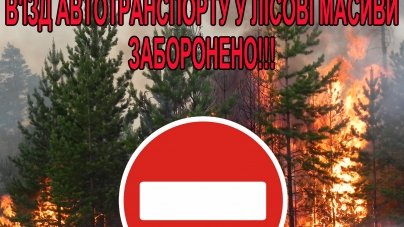 У спеку черкащанам заборонено відвідувати лісові масиви